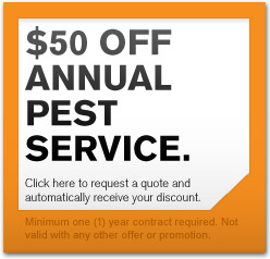 50 Dollars Off Service